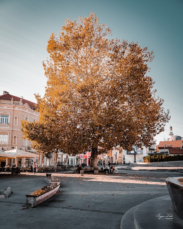 Tuzla 3