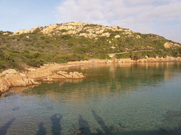 Olbia 5