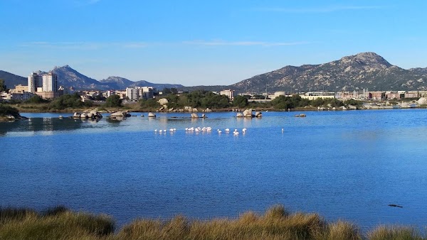 Olbia 4