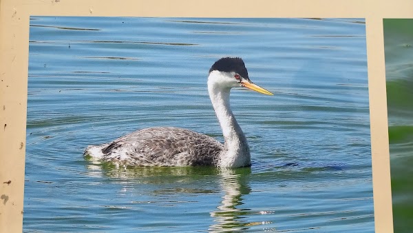 Lake Texcoco 4