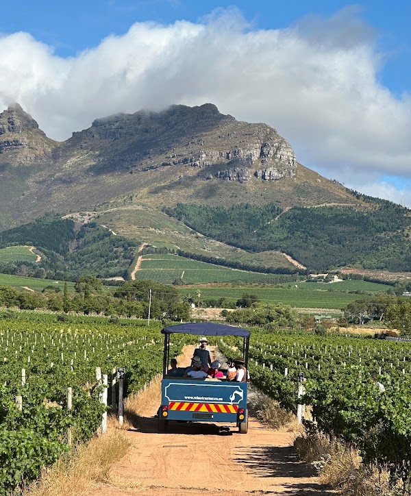 Stellenbosch wine tractor