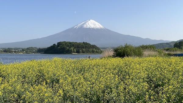 Small Mount Fuji made of flowers 1