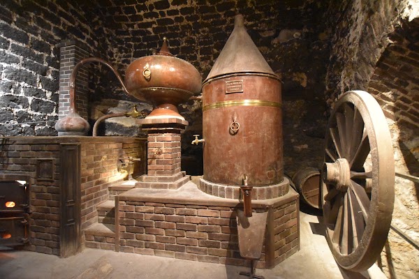 Wine Museum 2