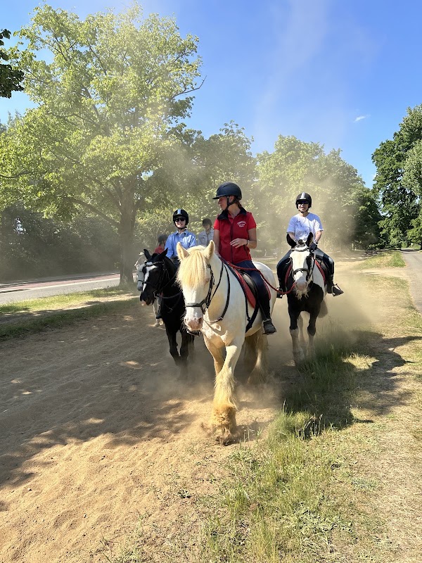 Hyde Park Stables - Horse Riding Central London 4