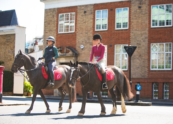 Hyde Park Stables - Horse Riding Central London 3