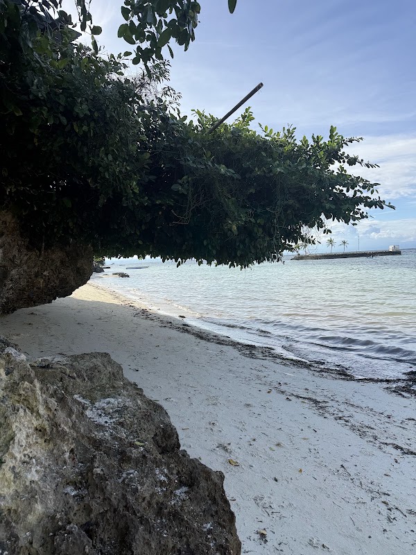 Panglao Beach 4