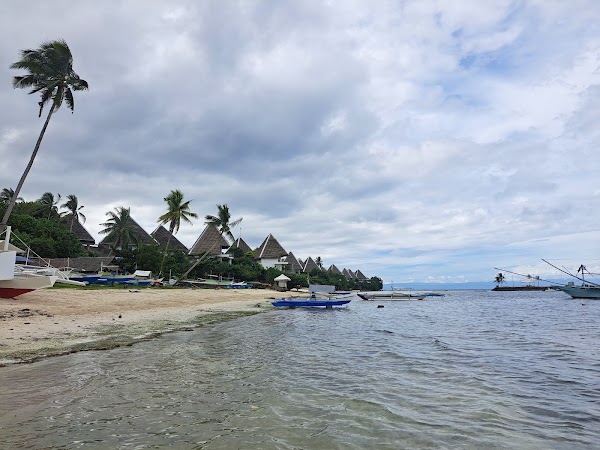 Panglao Beach 3