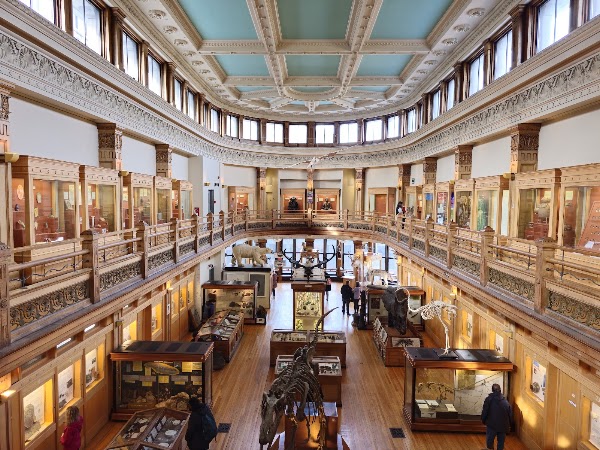 Redpath Museum 5