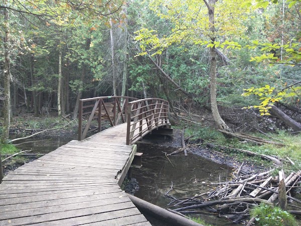 Preservation Park 1
