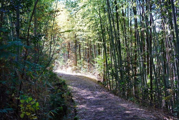 Ochiai Cobblestone Path