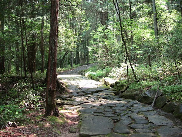 Ochiai Cobblestone Path 4