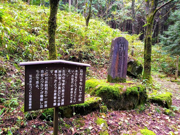 Ochiai Cobblestone Path 2