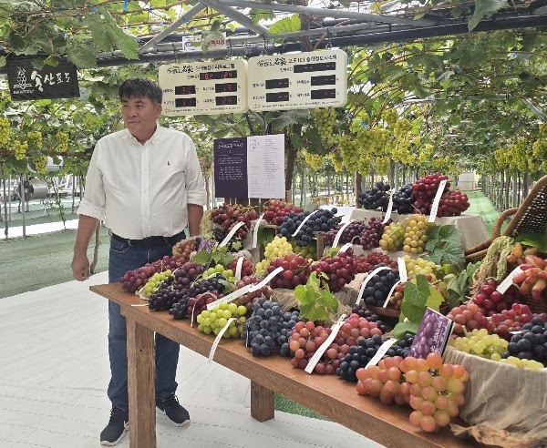 송산포도팜스토리