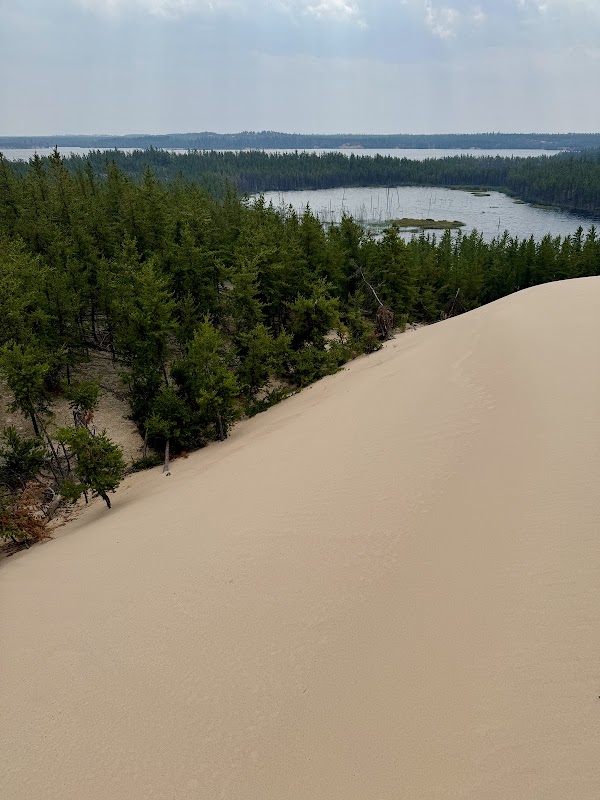 Athabasca Dunes Ecological Reserve