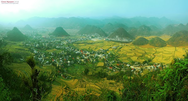 Vietnam 7