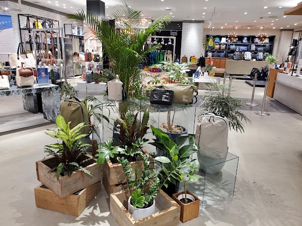 anello® SHINSAIBASHI 【心斎橋店】 4