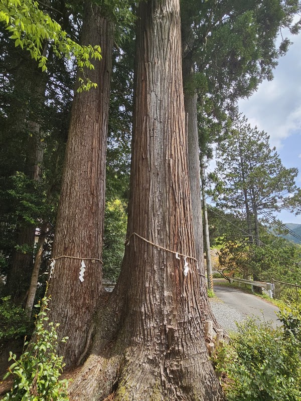 Chiihachiman Shrine 2