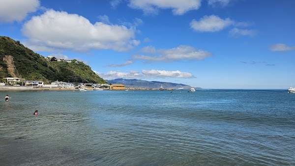 Island Bay Beach 1
