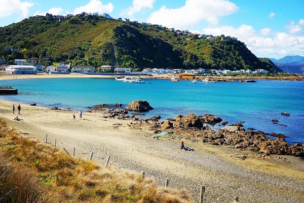 Island Bay Beach 3