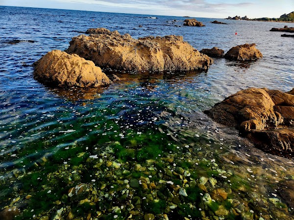 Island Bay Beach 2