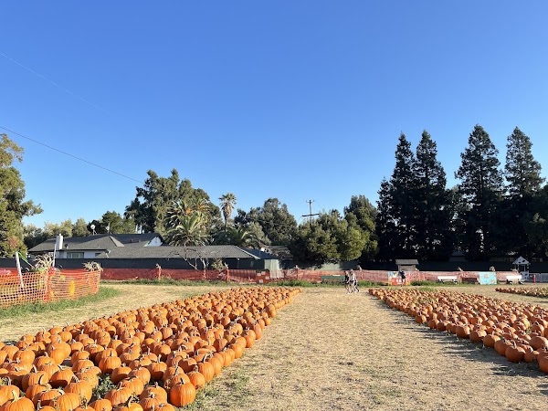 G&M Farms 1