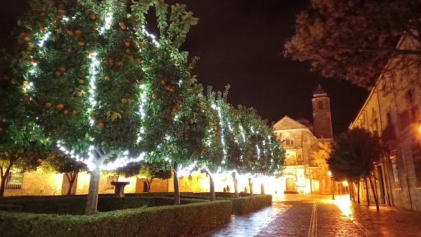 Plaza Vázquez de Molina 3