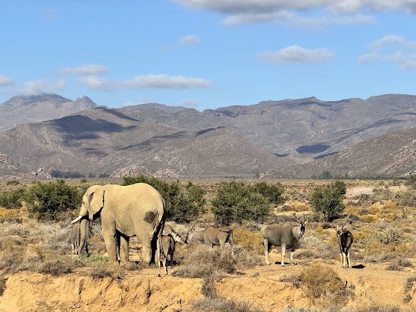 Inverdoorn Private Nature Reserve 1