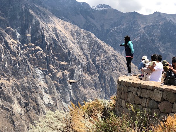 Mirador Cruz del Cóndor 3