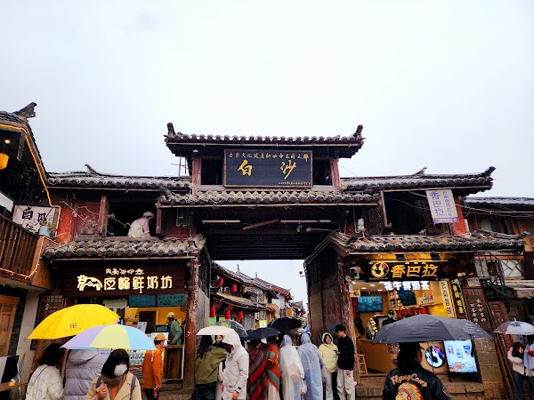 Baisha Bihua 5