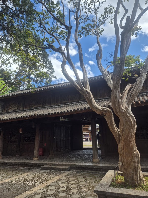 Baisha Bihua 2