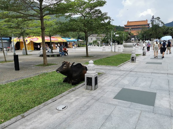 Ngong Ping 2