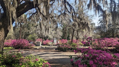 Bonaventure Cemetery