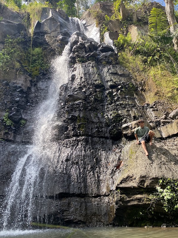 Tetebatu Ricefield Tour , Waterfall & Monkey Forest 5