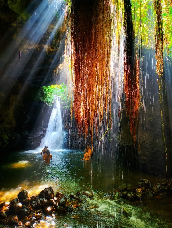 Tetebatu Ricefield Tour , Waterfall & Monkey Forest 3