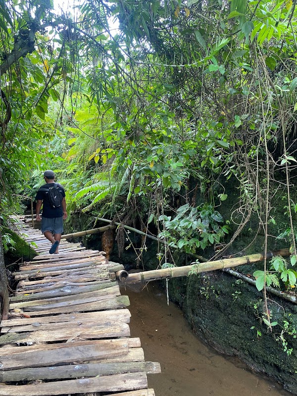 Tetebatu Ricefield Tour , Waterfall & Monkey Forest 2