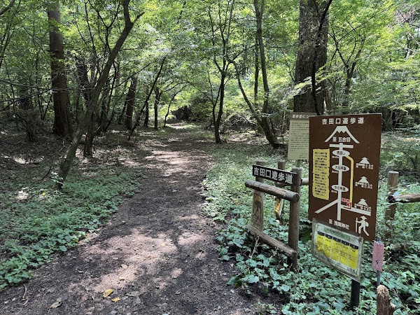 Starting point towards Yoshida Trail
