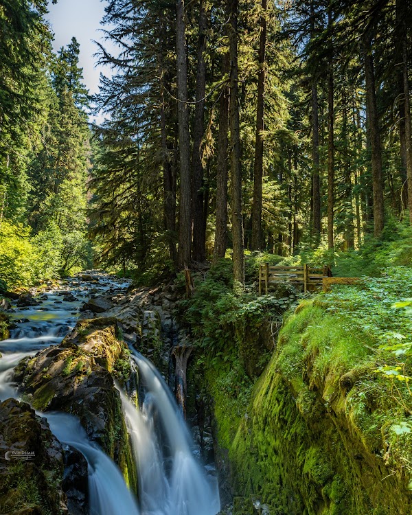 Sol Duc Falls