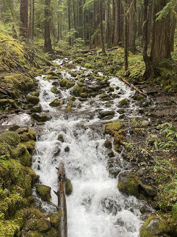 Sol Duc Falls 5