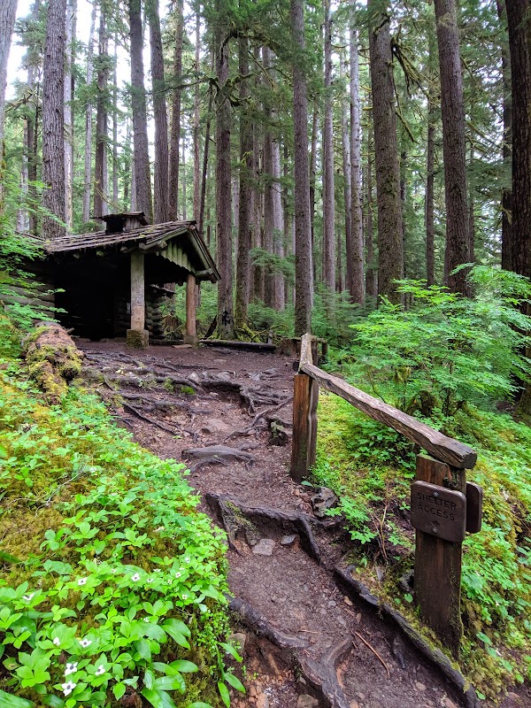 Sol Duc Falls 4