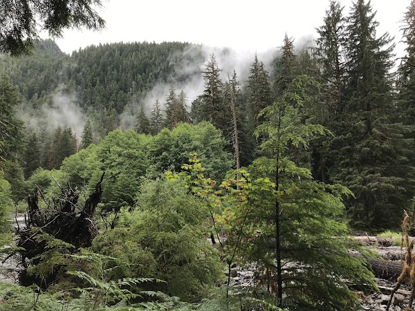 Sol Duc Falls 3