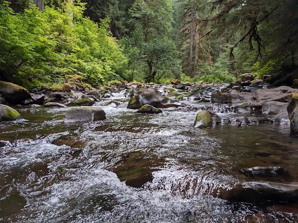 Sol Duc Falls 2