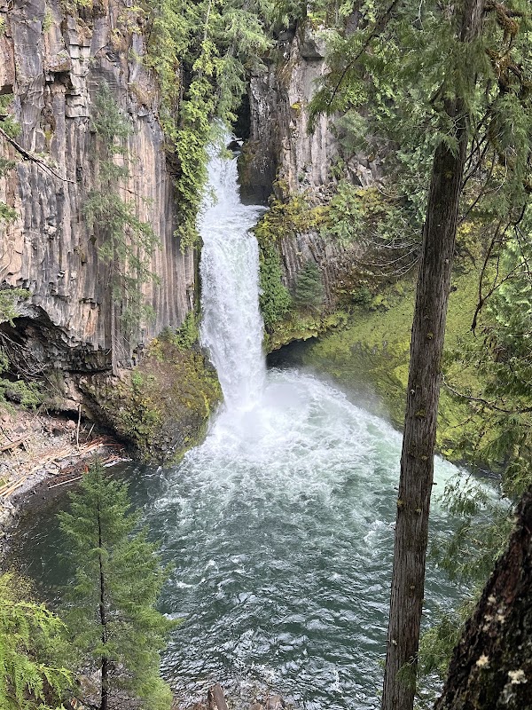 PNW 30