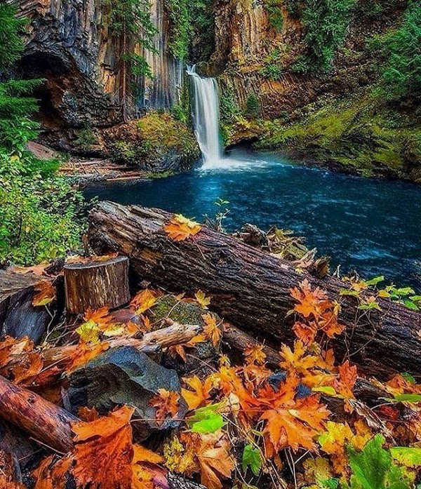 Umpqua National Forest 5