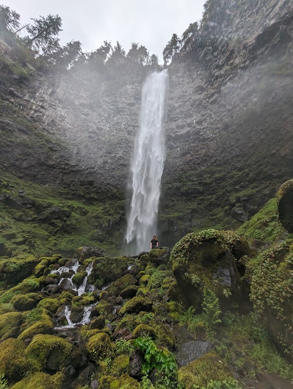 Umpqua National Forest 4