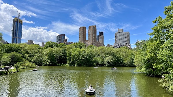 Sheep Meadow 5