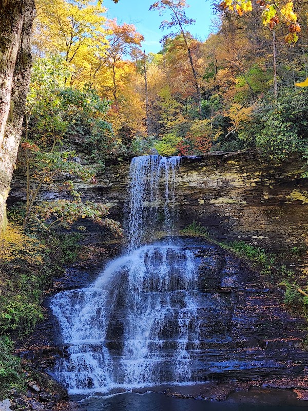 George Washington & Jefferson National Forest 5