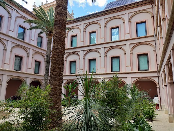 Museum of Fine Arts of Valencia 3