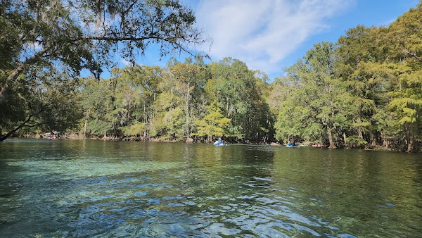 Devil's Ear Spring 1