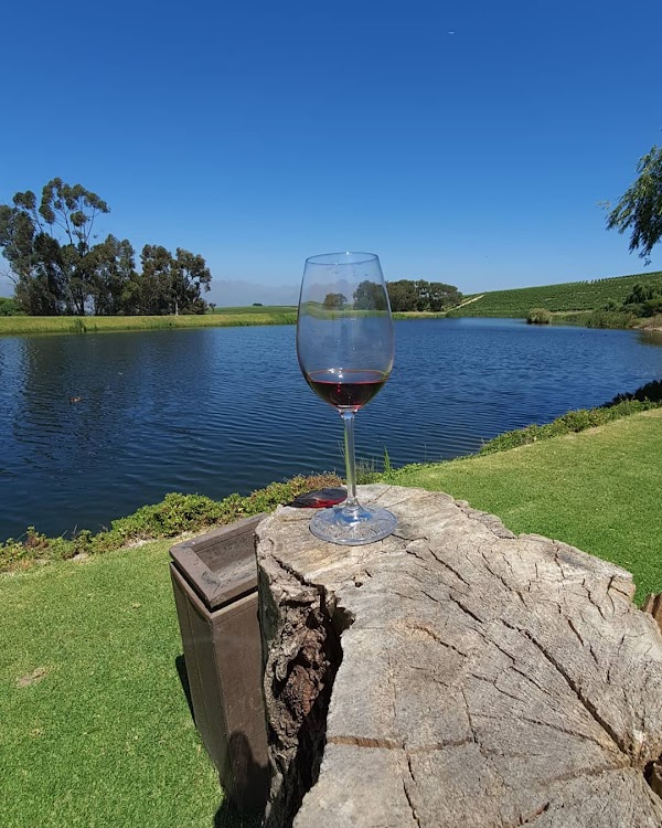 Jordan Wine Estate 3