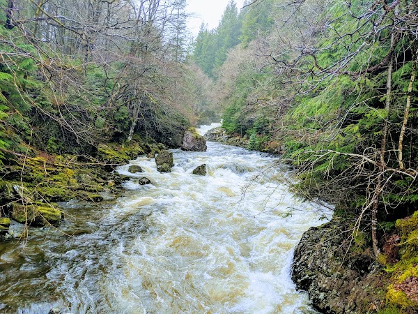 Wales 36
